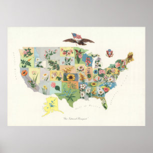 Poster Fleur d'état vintage d'USA Map (1911)