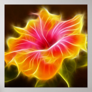 Poster Fleur d'Hibiscus aux couleurs vives
