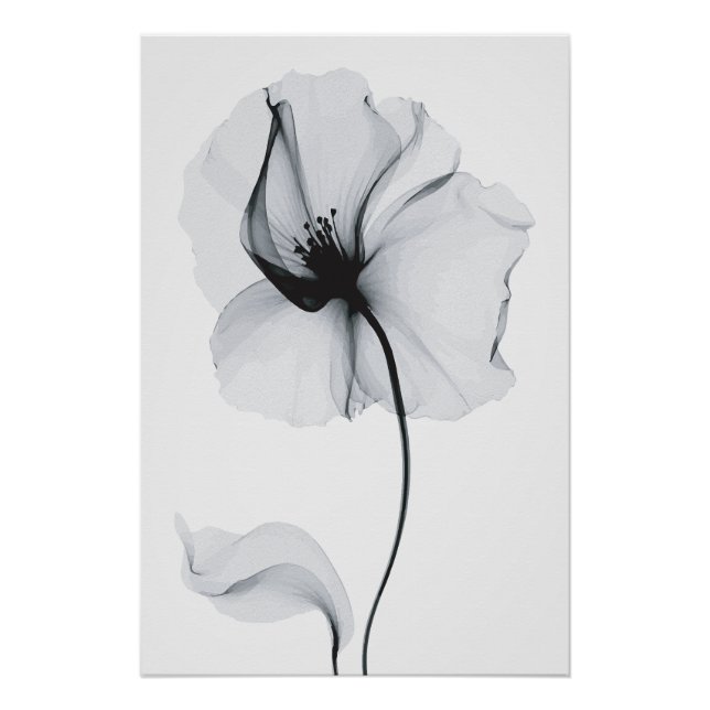 Poster Fleur Éclatante : Reflet Radieux de la Nature (Devant)