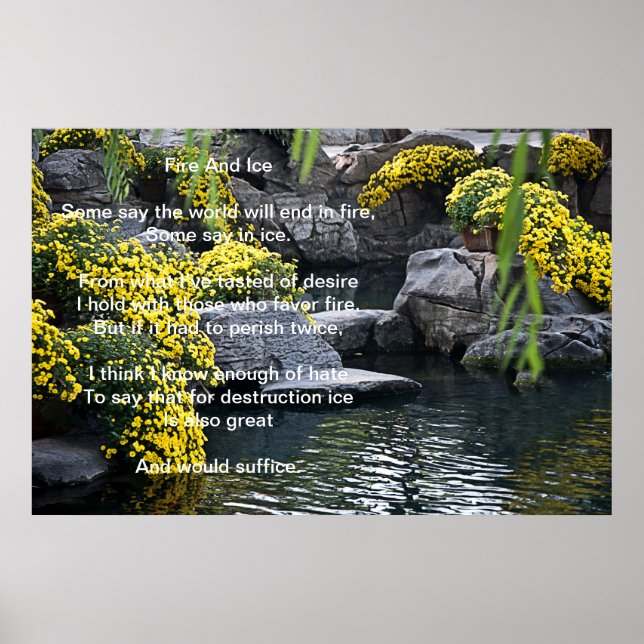 Poster Fleur Feu Et Glace (Devant)