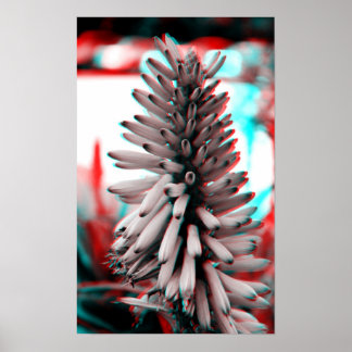 Poster Fleur fou 3D