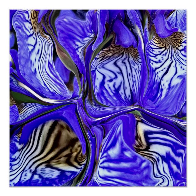 Poster Fleur Iris Violet (Devant)