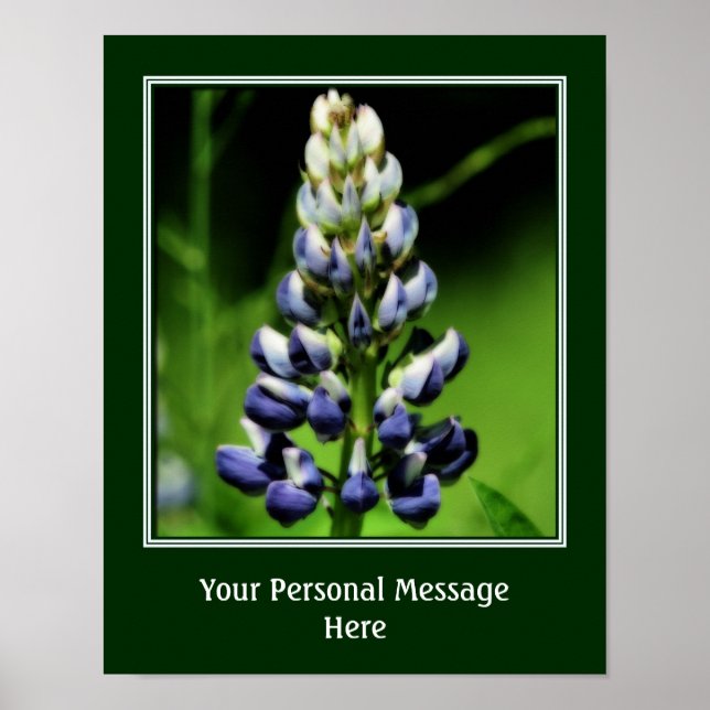 Poster Fleur Lupine Bleu Sauvage Personnalisée (Devant)