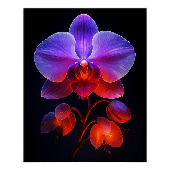 Poster Fleur orchidée dans la lumière (Devant)