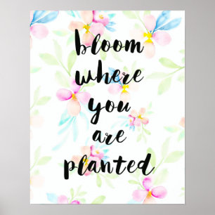Poster Fleur Où Vous Avez Planté Aquarelle Florale