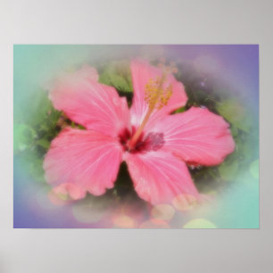 Poster Fleur rose de ketmie