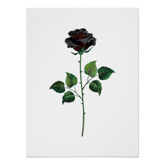 Poster Fleur rose noire (Devant)