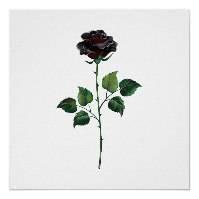 Poster Fleur rose noire (Devant)