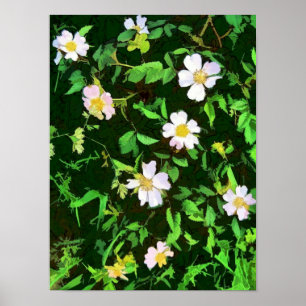POSTER FLEUR SAUVAGE