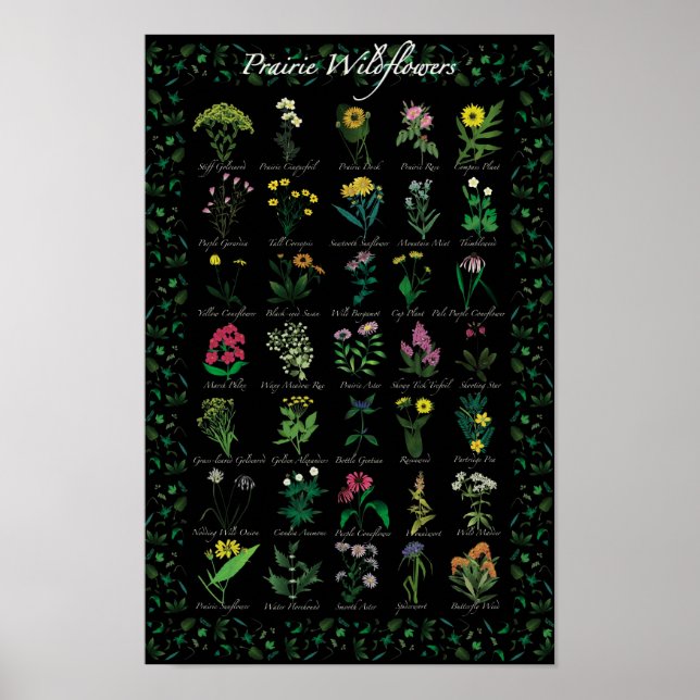Poster Fleur sauvage des Prairies (Devant)