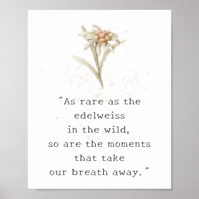 Poster Fleur sauvage Edelweiss (Devant)
