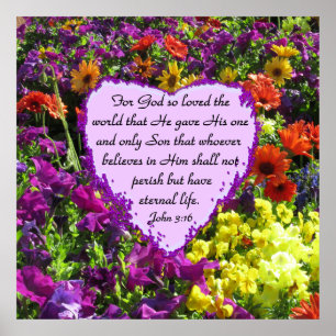 POSTER FLEUR SAUVAGE JOHN 3:16 PHOTO