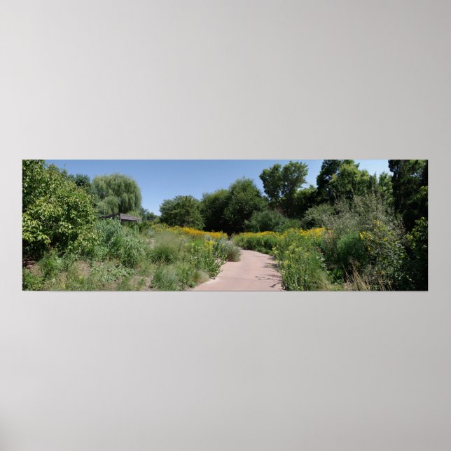 Poster Fleur sauvage Meadow (Devant)