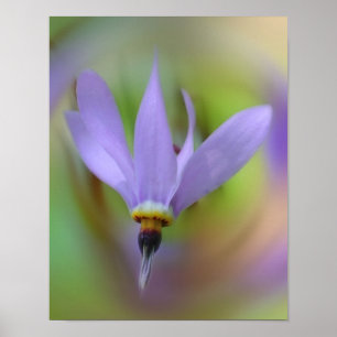 Poster Fleur violet pâle gros