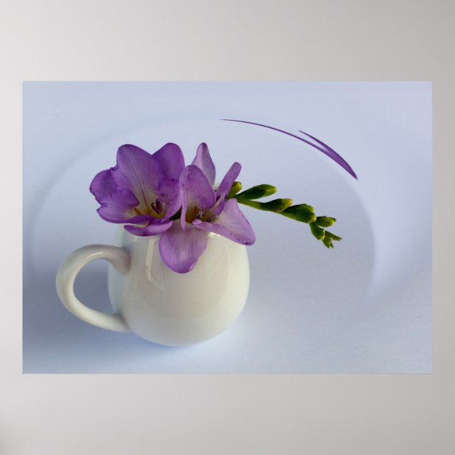Poster fleur violette (Devant)