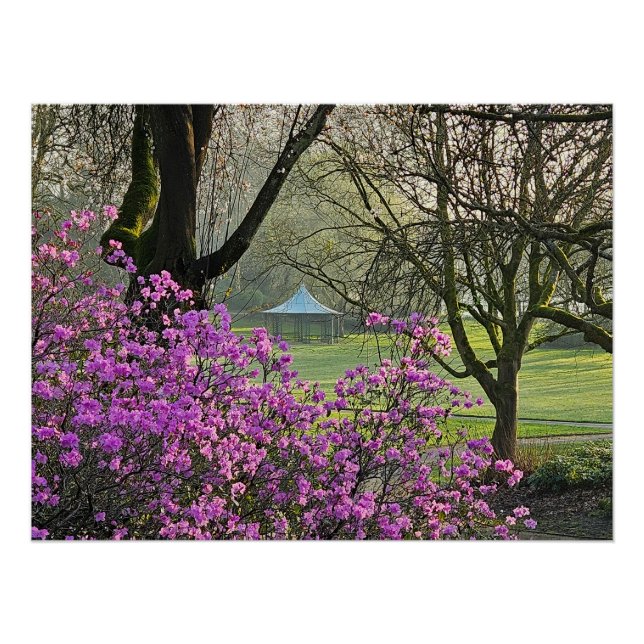 Poster Fleurs (Devant)