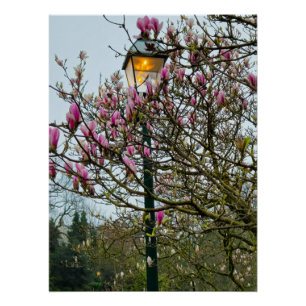 Poster Fleurs