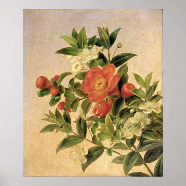 Poster Fleurs, 1835 (Devant)