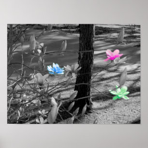 Poster Fleurs choisies