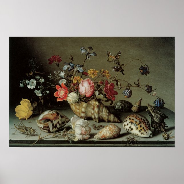 Poster Fleurs, coquillages et insectes Balthasar van der  (Devant)