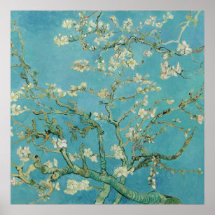 Poster Fleurs d'amandes par Vincent van Gogh