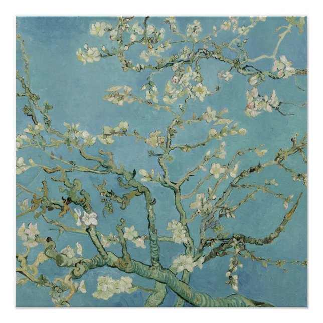 Poster Fleurs d'amandes par Vincent Van Gogh Art (Devant)