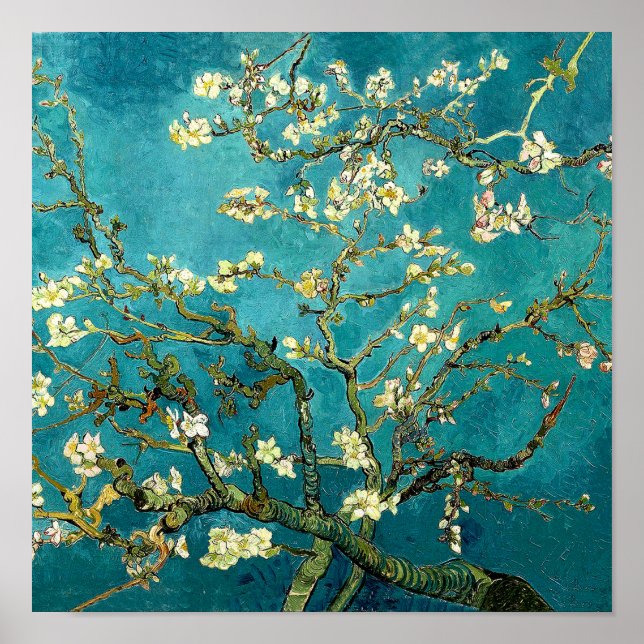 Poster Fleurs d'amandier de Van Gogh Impressionnisme clas (Devant)