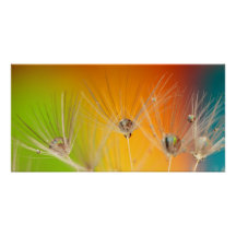 Fleurs Dandelion Wedding shower Aimer la paix