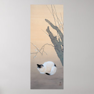 Poster Fleurs de chat et de prune