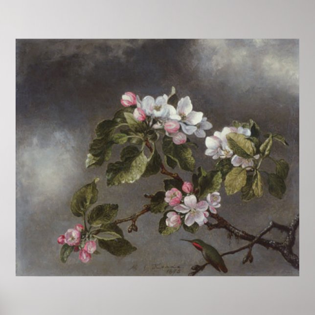 Poster Fleurs de colibri et de pomme Martin J. Heade (Devant)