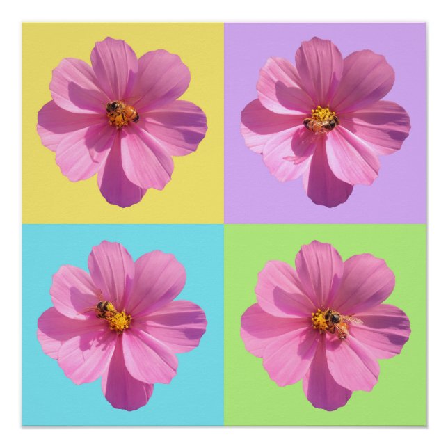 Poster Fleurs de cosmos à quatre panneaux avec abeille (Devant)