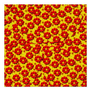 Poster Fleurs de dahlia rouges et jaunes