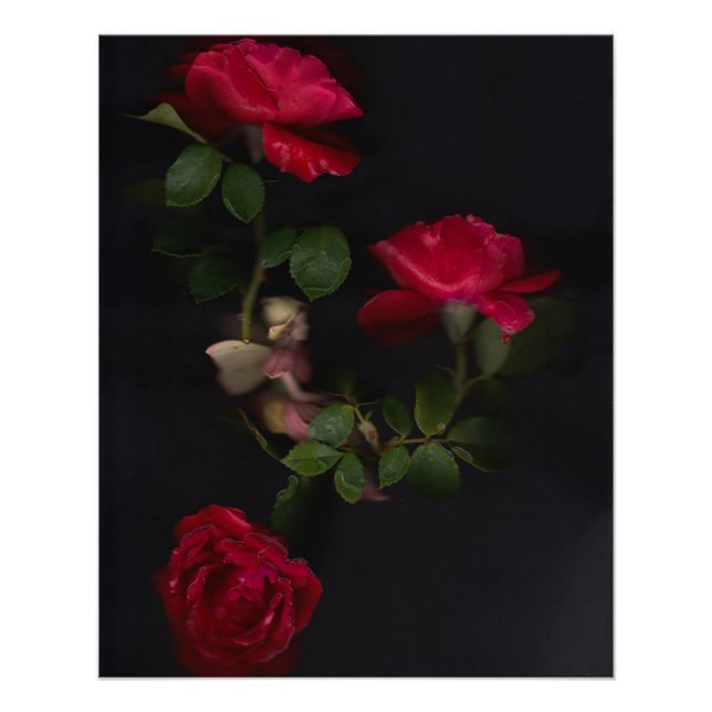 Poster Fleurs de fleurs 2 (Devant)