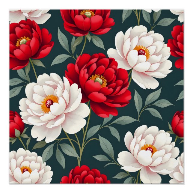 Poster Fleurs de pivoine rouges et blanches  (Devant)