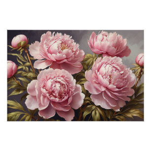 Poster Fleurs de pivoines florissantes
