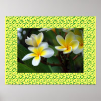 Fleurs de Plumeria Blissful Hawaïen Frangipanier
