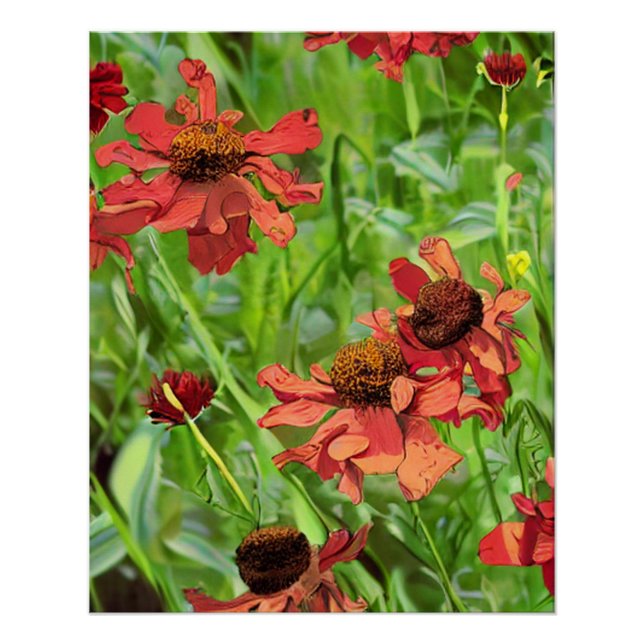 POSTER FLEURS DE RUDBECKIA ROUGES (Devant)