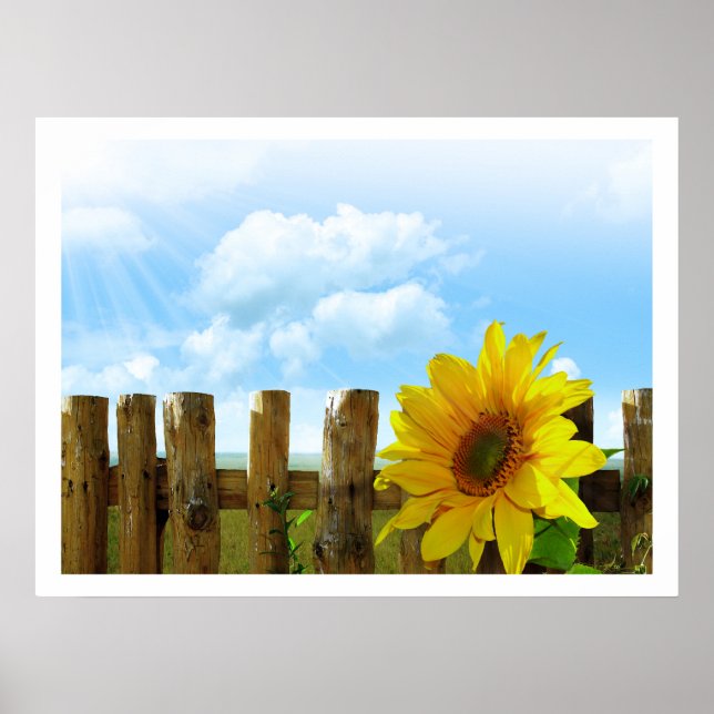 Poster Fleurs de soleil par une clôture sous ciel bleu (Devant)
