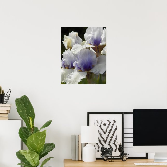 Poster Fleurs d'iris blanches et violettes (Bureau à domicile)