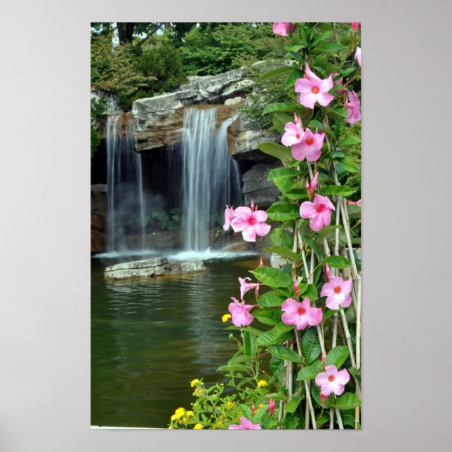 Poster Fleurs et cascade (Devant)