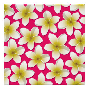 Poster Fleurs frangipani/Plumeria