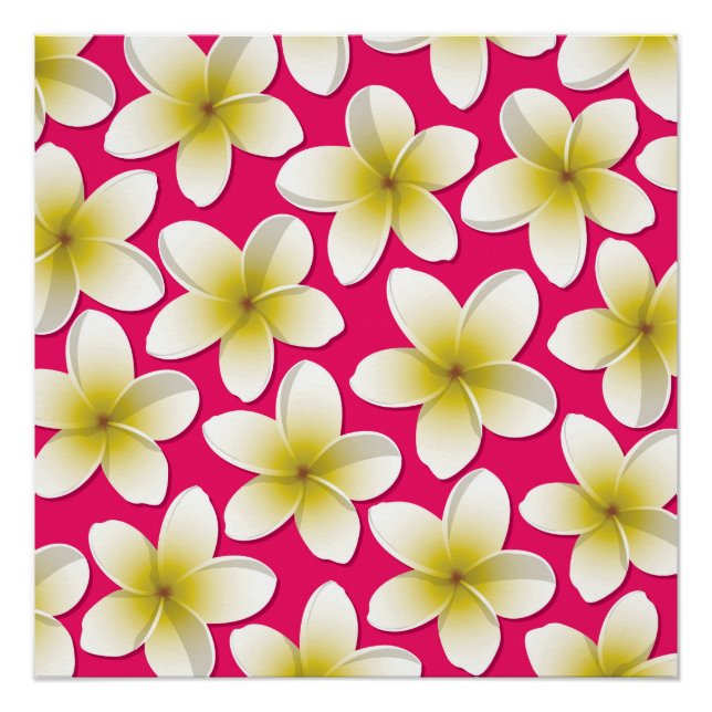 Poster Fleurs frangipani/Plumeria (Devant)
