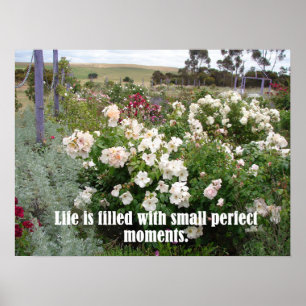 Poster Fleurs Jardin Plein De Moments Parfaits