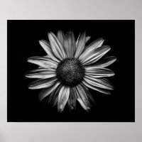 Fleurs Noires Et Blanches 18