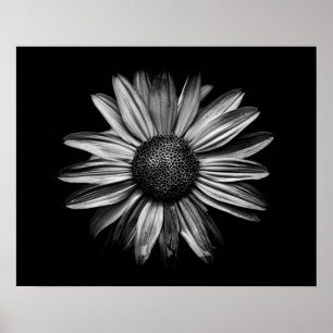 Poster Fleurs Noires Et Blanches 18