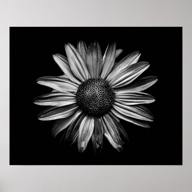 Poster Fleurs Noires Et Blanches 18 (Devant)