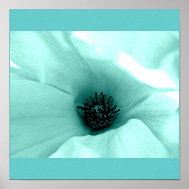 Poster Fleurs peintes à l'affiche 4 (Devant)