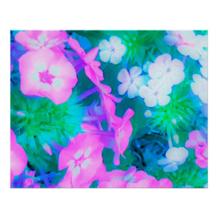 Poster Fleurs Phlox de jardin rose, vert, bleu et blanc