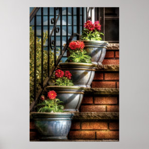 Poster Fleurs - Quatre Pots