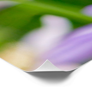 Poster Fleurs rêvées - Violet